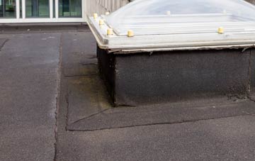 disadvantages of Shrub End flat roofs