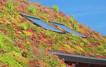 Shrub End living roof systems