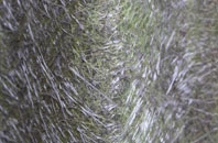 Shrub End fibreglass roof work